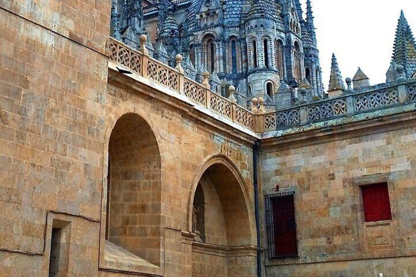 Private Tour Salamanca Essential in 2 hours