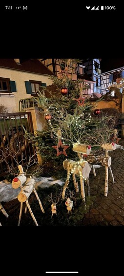 Picture 8 for Activity Frankfurt: Christmas Market Guided Walking Tour