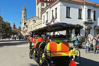 Riding in Style: Private Tour Experience on Premium Electric Cart