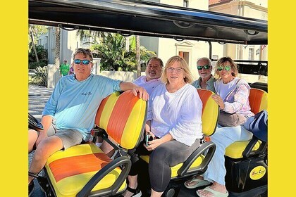 Riding in Style: Private Tour Experience on Premium Electric Cart