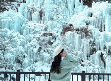 Seoul: Eobi Ice Valley, Nami Island & Railbike opt Garden