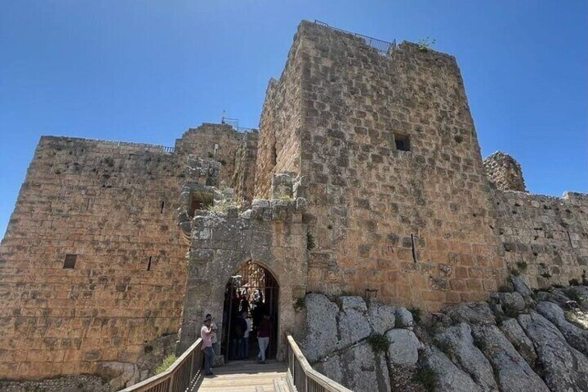 Half Day Jerash & Ajloun Private Guided Tour From Amman