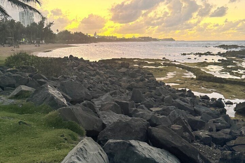 El Yunque Hike Waterslide Beach Cuisine With Transport