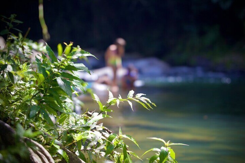 El Yunque Hike Waterslide Beach Cuisine With Transport