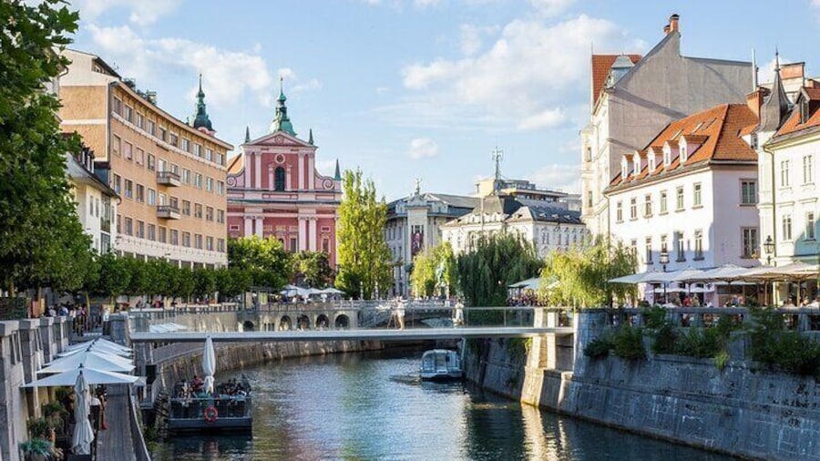 Ljubljana Capital Tour from Trieste