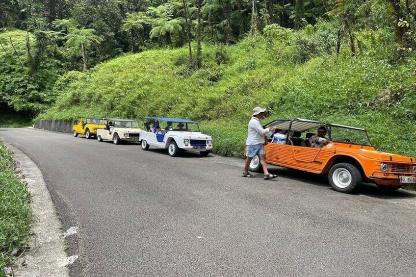 Discover Martinique in a Méhari or 2CV