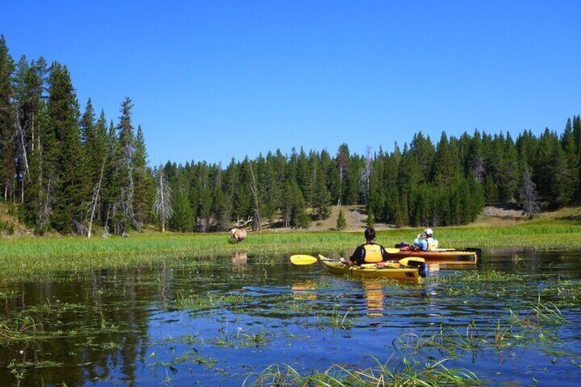 Half Day Paddle on Yellowstone Lake