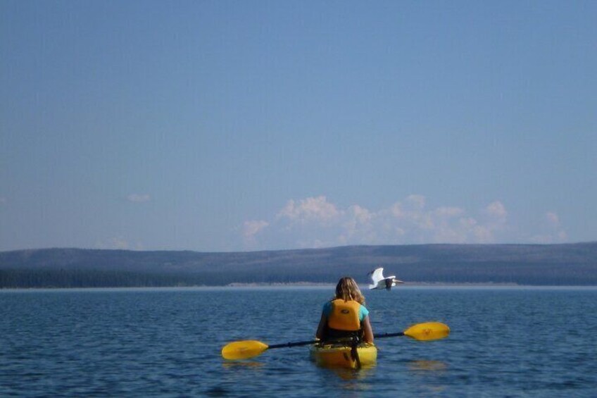 Half Day Paddle on Yellowstone Lake