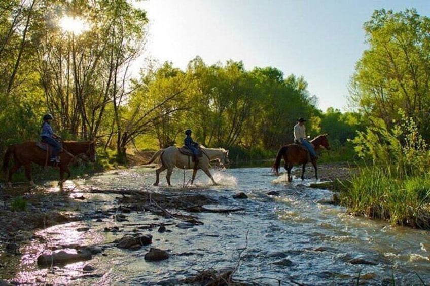 Child Enjoying a Scenic Horseback Adventure 