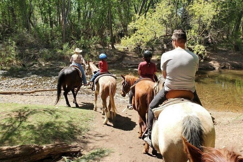 Horseback Adventure 