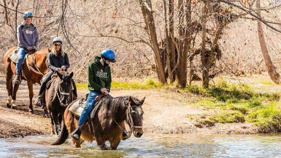River Crossing Sedona Horseback Tours at Dead Horse Ranch State Park