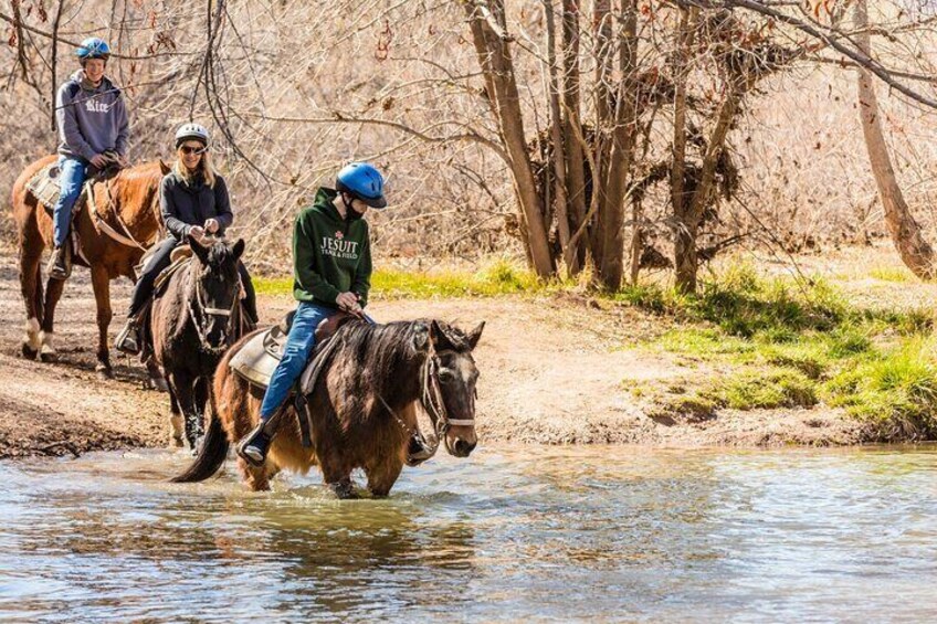 River Crossing Sedona Horseback Tours at Dead Horse Ranch State Park