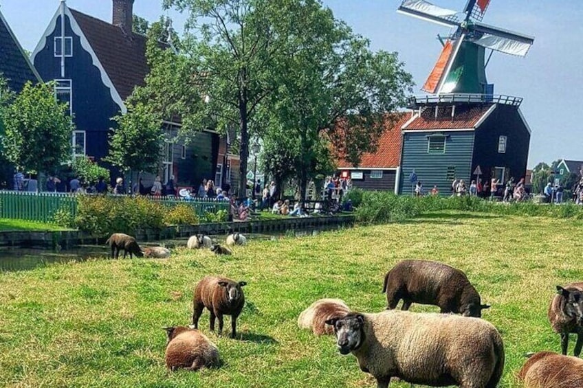 Windmills Zaanse Schans