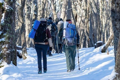 Private Trekking in Emerald Lagoon