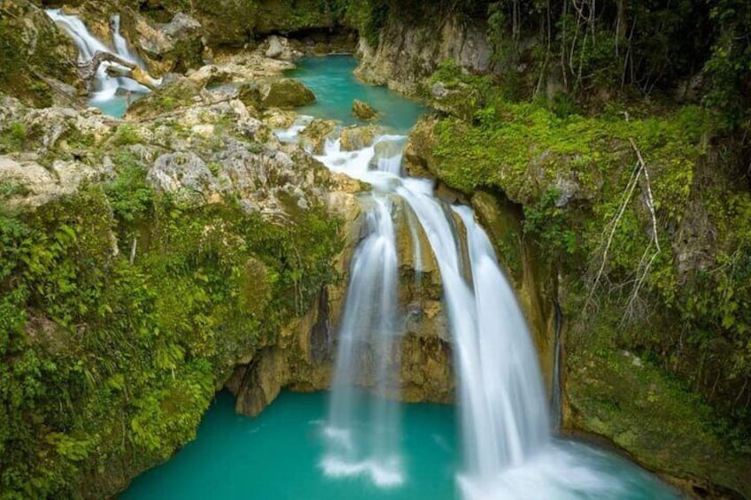 Moalboal Sardines and Turtle with Canyoneering in Kawasan Falls