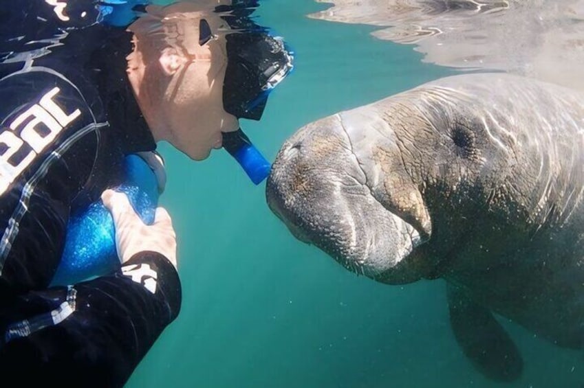 Semi-Private Manatee Swim Tour With Guide (Photos Included)