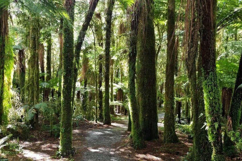 2 Day Tour From Christchurch to Queenstown via Franz Josef 