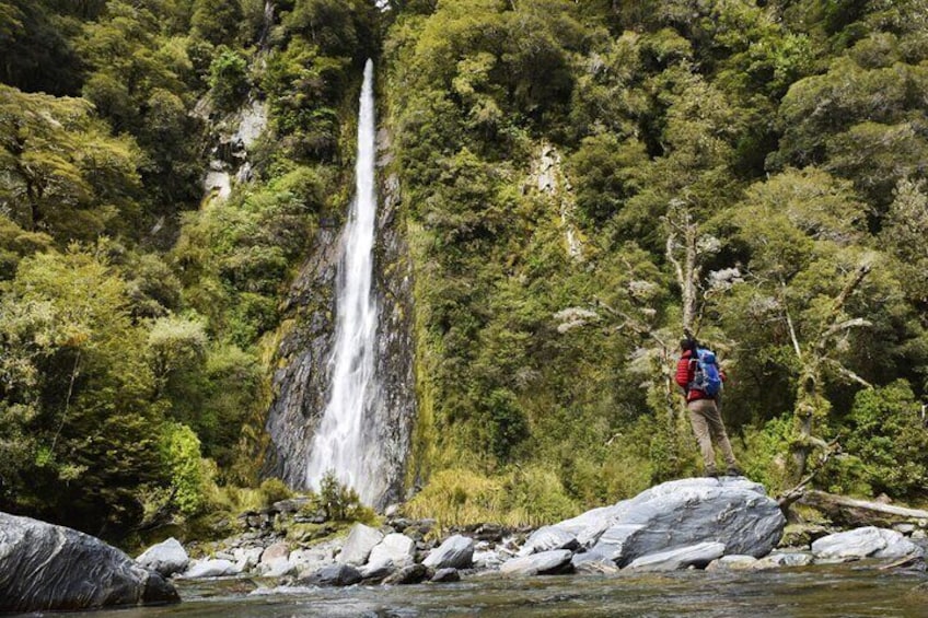 2 Day Tour From Christchurch to Queenstown via Franz Josef 