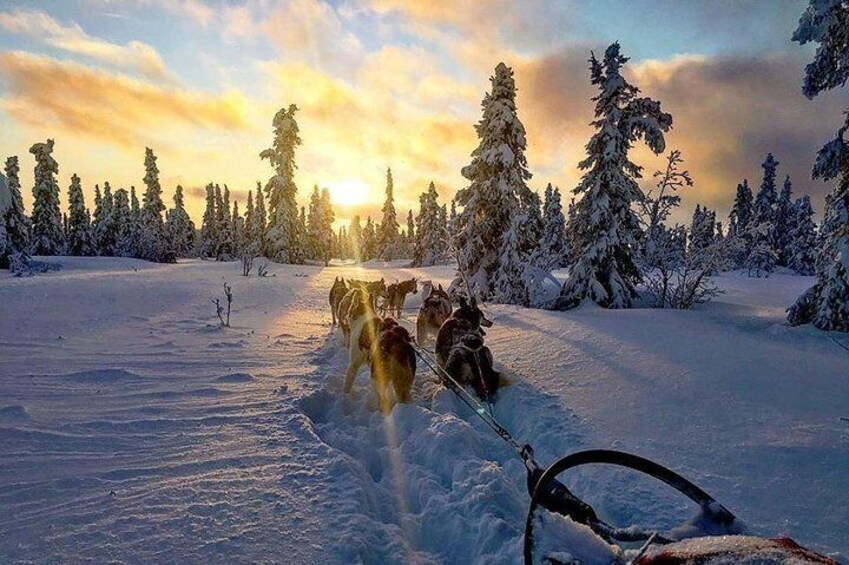 Late winter run in fresh snow.