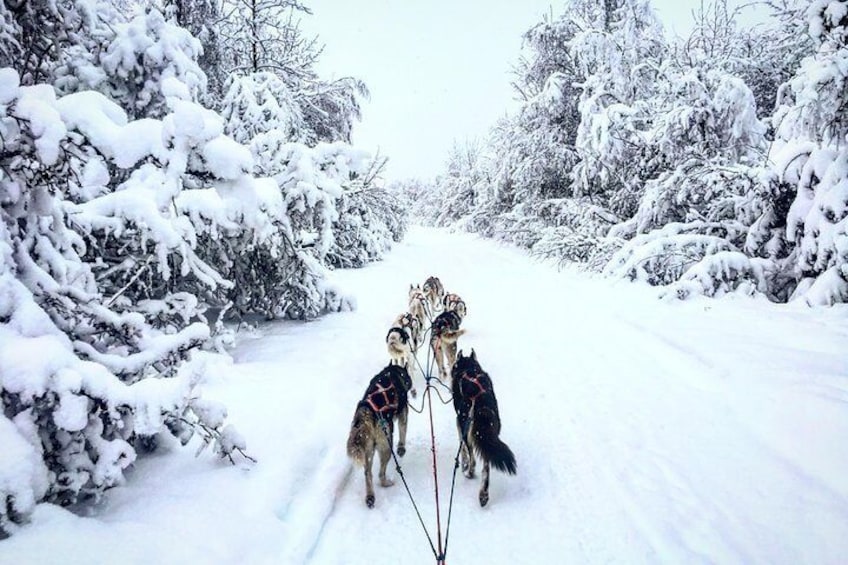 Traveling through fresh snow.