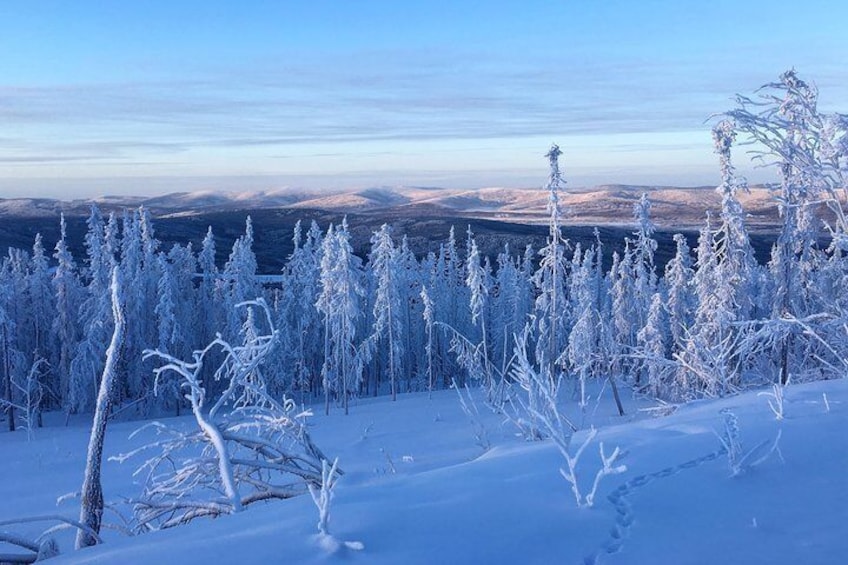 Fantastic views from the top.