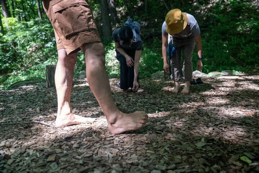 Let's walk barefoot in the forest