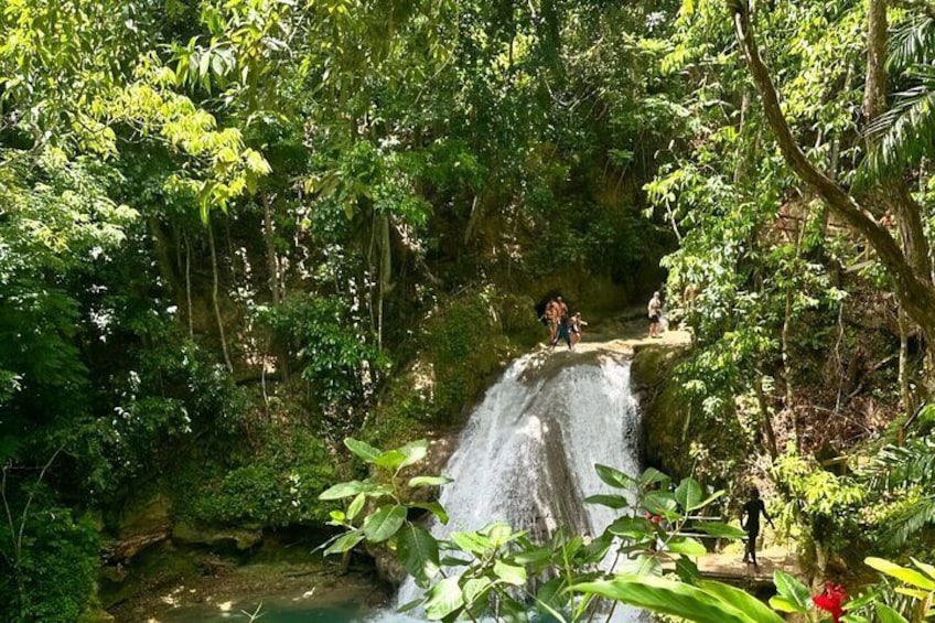 Half-Day Blue Hole and Dunns River Falls tour Pickup in Ocho Rios