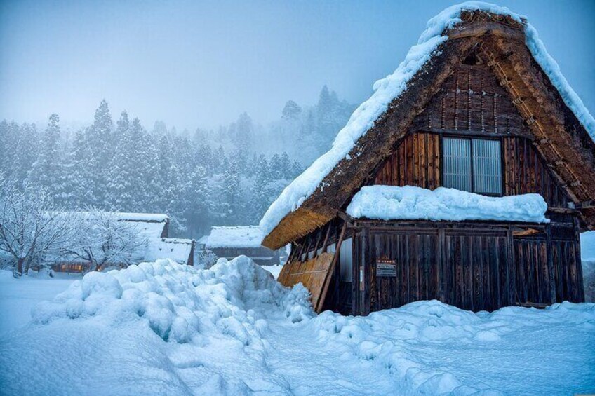 Day Tour from Nagoya in Gujo Hachiman Takayama and Shirakawago