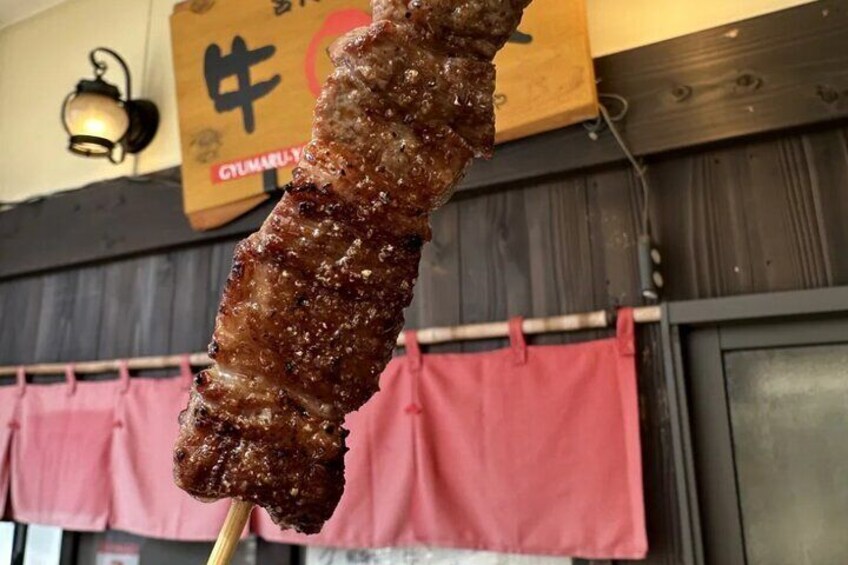 Day Tour from Nagoya in Gujo Hachiman Takayama and Shirakawago