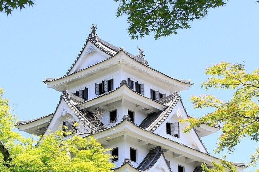 Day Tour from Nagoya in Gujo Hachiman Takayama and Shirakawago