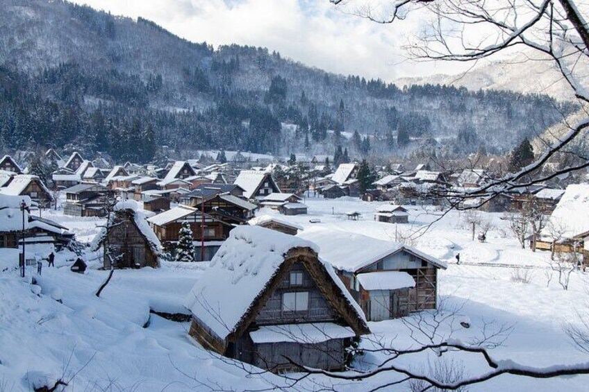 Day Tour from Nagoya in Gujo Hachiman Takayama and Shirakawago