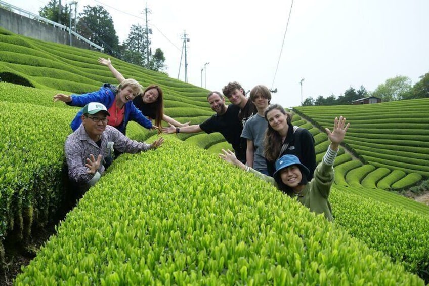 7hr Private Guided Van Tour Nara & Matcha Farm 