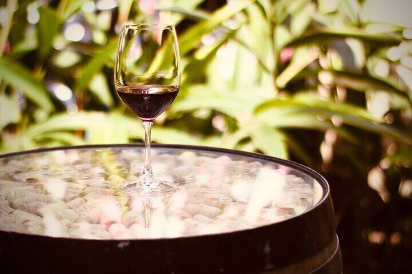 Exclusive Malbec Wine Tasting in Buenos Aires