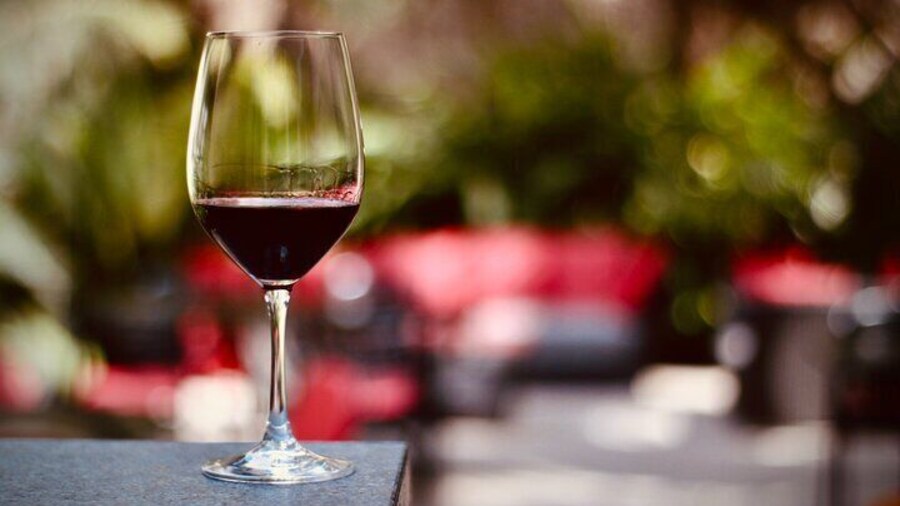 Exclusive Malbec Wine Tasting in Buenos Aires