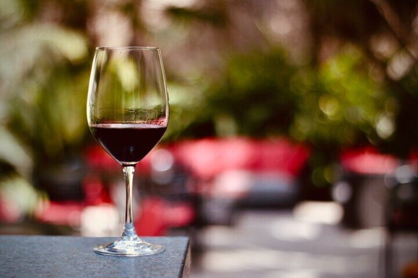 Exclusive Malbec Wine Tasting in Buenos Aires