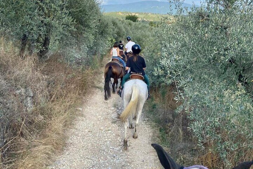 Horseback Riding and Wine Tasting