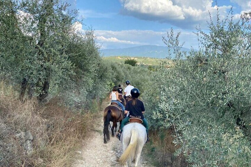 Horseback Riding and Wine Tasting