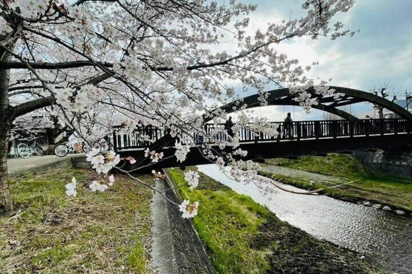 Mt Fuji 5th Station Kawaguchiko Gotemba Outlet Mall Tour