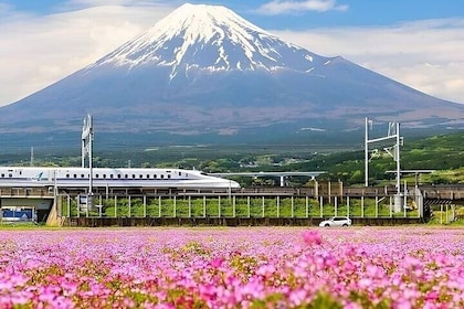 Mt Fuji 5th Station Kawaguchiko Gotemba Outlet Mall Tour