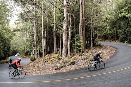 Hobart Half Day Cycling Tour with the Mt Wellington Ride