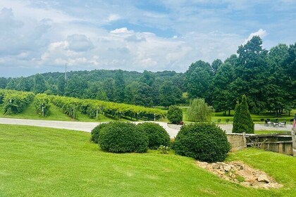 Elijay Three Vineyards Private Wine Tasting Tour from Atlanta