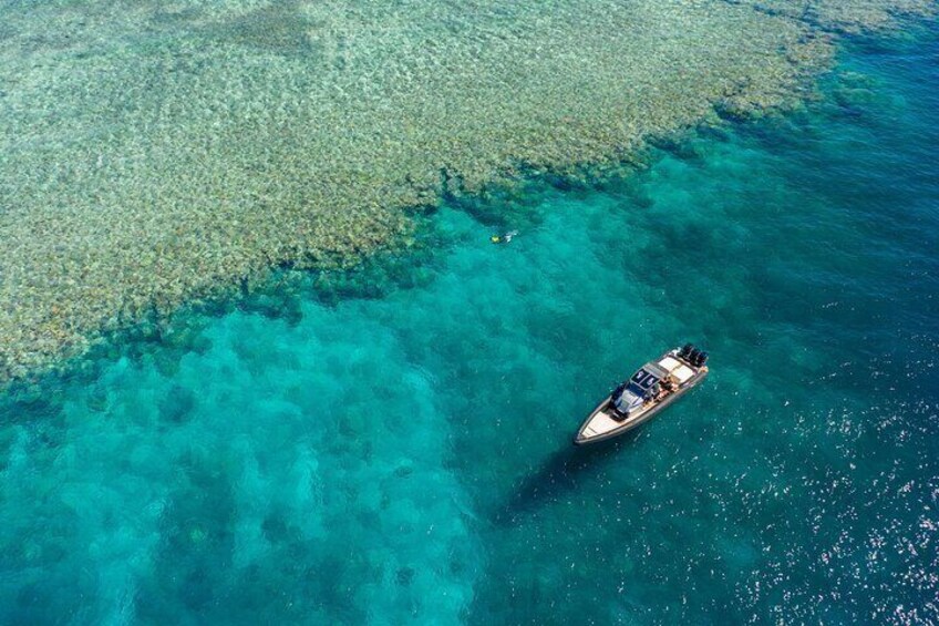 Ocean Spirit - Snorkel at the Great Barrier Reef