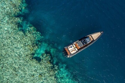 Whitsunday Half Day Private Charter