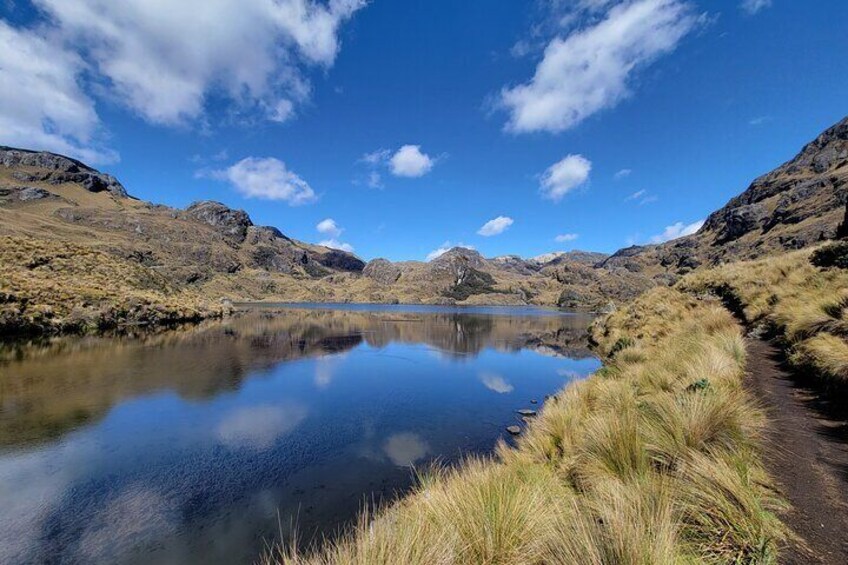 Toreadora Lake in Cajas