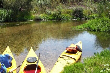 Kayak Rental on the Coghinas River in Valledoria