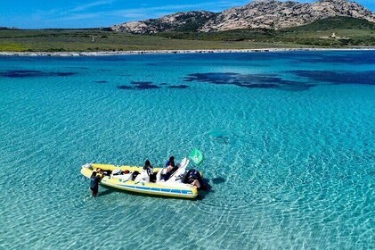 From Stintino: half-day dinghy tour to Asinara with aperitif