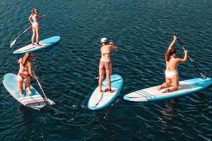 Benalmadena: Paddle Boarding and Snorkel Lessons