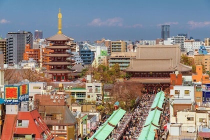 Tokyo Morning Small Group Tour