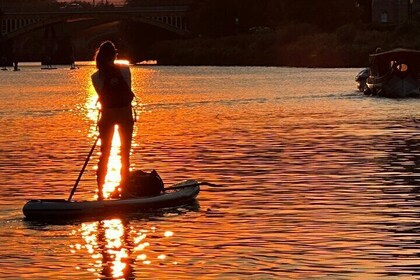 Paddleboard at Richmond from Thames