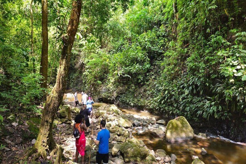 Adventure Tour Kayak and Hike in Chagres River 